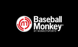 Baseball Monkey
